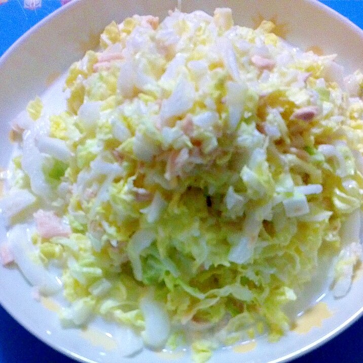 白菜シーチキンサラダ